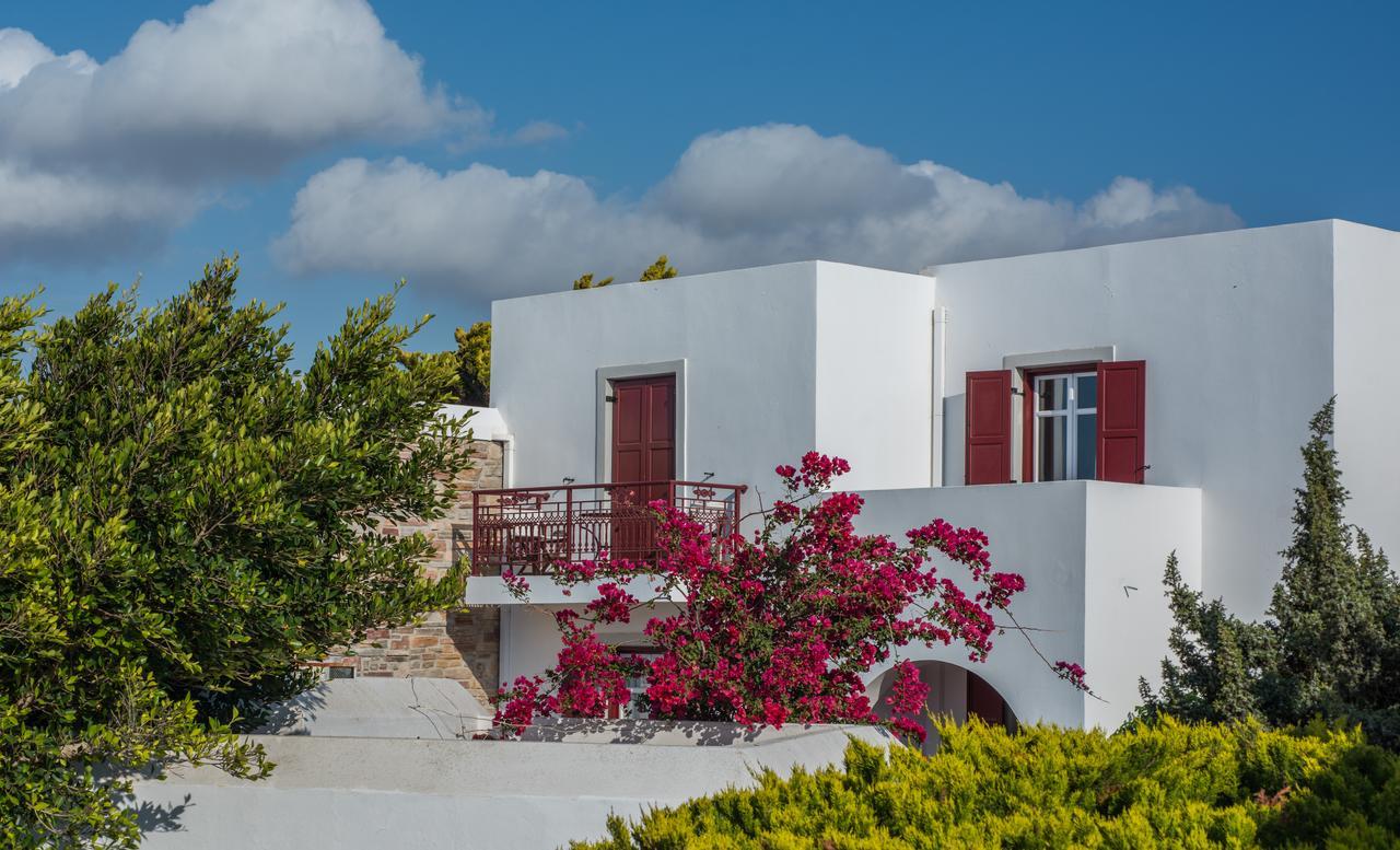 Naxos Palace Hotel Stelida  Exteriör bild
